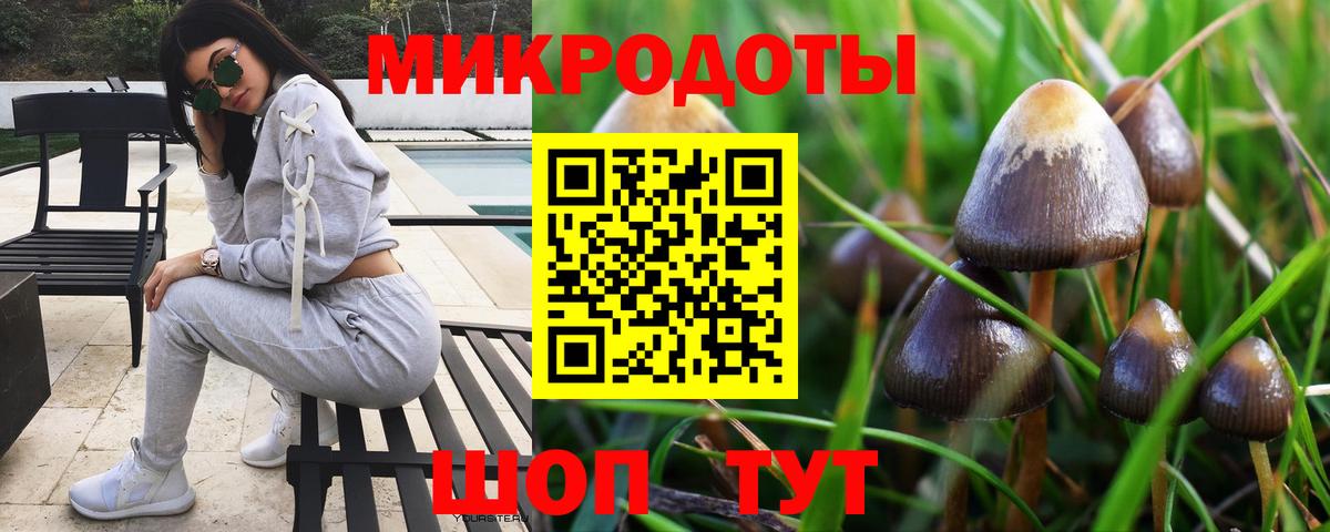 Галлюциногенные грибы Magic Shrooms Ковров