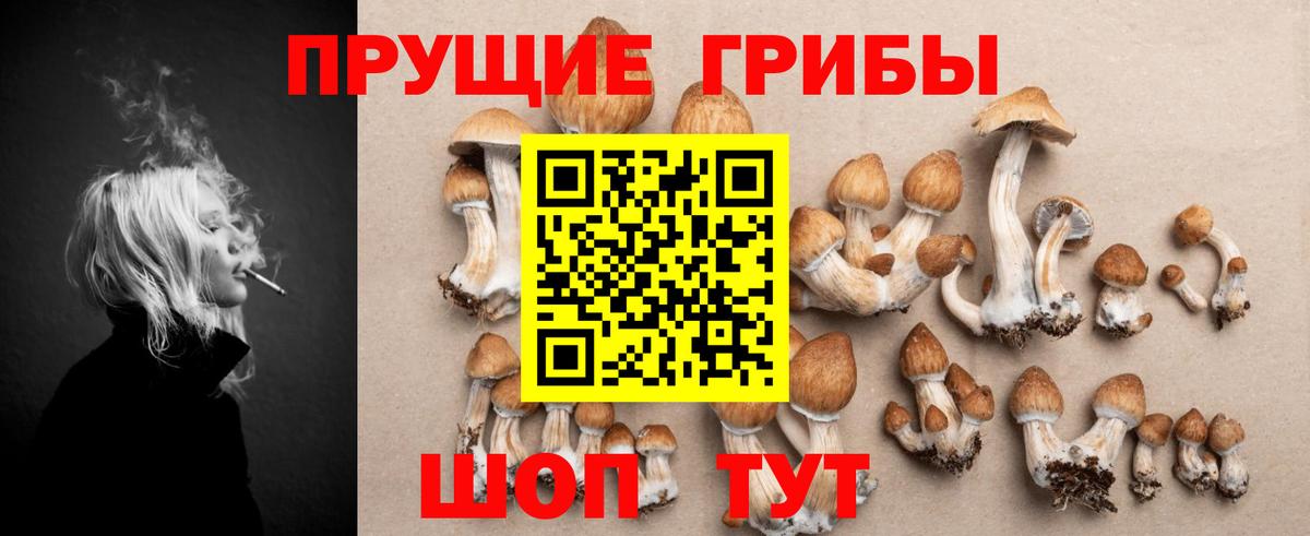 Псилоцибиновые грибы MAGIC MUSHROOMS  Вход с VPN  Ковров  Галлюциногенные грибы Psilocybine cubensis 
